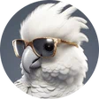 zibi_wro